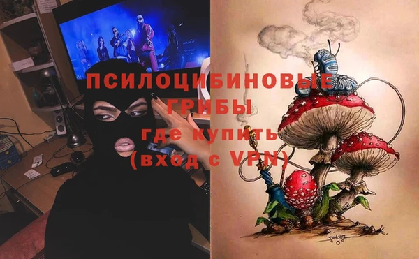 МДМА Богородицк